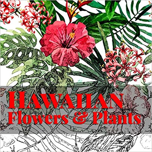 Hawaiian Flowers & Plants Frankie Bow